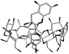 Graphical abstract: Investigation of the complexation of (+)-catechin by β-cyclodextrin by a combination of NMR, microcalorimetry and molecular modeling techniques