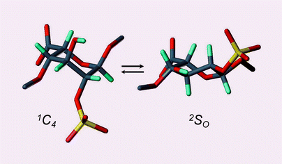 Graphical abstract: A molecular dynamics description of the conformational flexibility of the l-iduronate ring in glycosaminoglycans