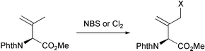 Graphical abstract: Allylic halogenation of unsaturated amino acids