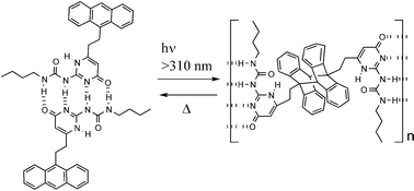Graphical abstract: Hydrogen bonded molecular assembly by reversible cyclization reaction of anthracene