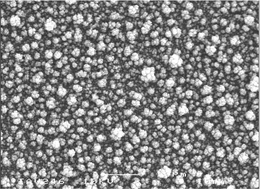 Graphical abstract: Metal organic chemical vapour deposition (MOCVD) of bone mineral like carbonated hydroxyapatite coatings