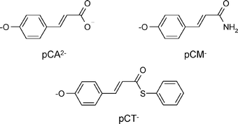 Graphical abstract: Early molecular events in the photoactive yellow protein: role of the chromophore photophysics