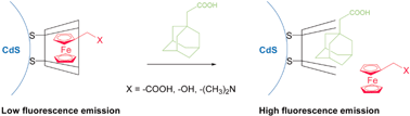 Graphical abstract: Supramolecular control of complexation-induced fluorescence change of water-soluble, β-cyclodextrin-modified CdS quantum dots