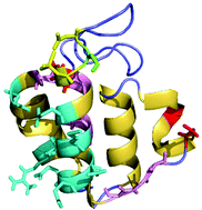 Graphical abstract: The ubiquitous carrier protein—a window to metabolitebiosynthesis
