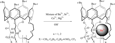 Graphical abstract: Di-ionizable p-tert-butylcalix[4]arene-1,2-crown-5 and -crown-6 compounds in the cone conformation: synthesis and alkaline earth metal cation extraction