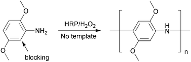 Graphical abstract: Synthesis of polyaniline derivatives via biocatalysis