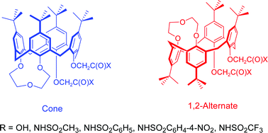 Graphical abstract: Di-ionizable p-tert-butylcalix[4]arene-1,2-crown-3 ligands in cone and 1,2-alternate conformations: synthesis and metal ion extraction