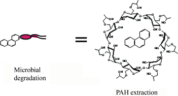 Graphical abstract: Prediction of PAH biodegradation in field contaminated soils using a cyclodextrin extraction technique