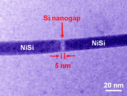 Graphical abstract: Silicon nanowires: the key building block for future electronic devices