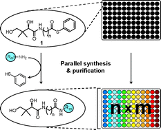 Graphical abstract: Development of a method for the parallel synthesis and purification of N-substituted pantothenamides, known inhibitors of coenzyme A biosynthesis and utilization