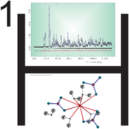 Graphical abstract: Crystallography of hydrogen-containing compounds: realizing the potential of neutron powder diffraction