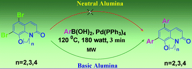 Graphical abstract: Basic alumina-supported highly effective Suzuki–Miyaura cross-coupling reaction under microwave irradiation: application to fused tricyclic oxa-aza-quinolones