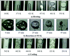 Graphical abstract: Hydrolysis of polycarbonate in sub-critical water in fused silica capillary reactor with in situRaman spectroscopy