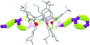 Graphical abstract: Ion-pair separation via selective inclusion/segregation processes