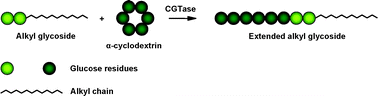 Graphical abstract: Enzymatic route to alkyl glycosides having oligomeric head groups