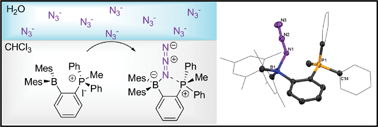Graphical abstract: Azide ion recognition in water–CHCl3 using a chelating phosphonium borane as a receptor