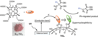 Graphical abstract: Green molecular transformation by a B12–TiO2 hybrid catalyst as an alternative to tributyltin hydride