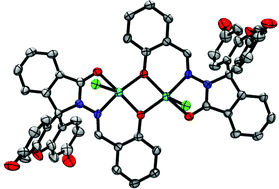 Graphical abstract: Toward the development of prochelators as fluorescent probes of copper-mediated oxidative stress