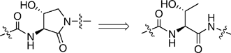Graphical abstract: A novel dipeptidomimetic containing a cyclic threonine