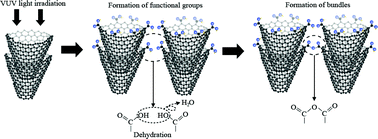 Graphical abstract: An environmentally friendly dispersion method for cup-stacked carbon nanotubes in a water system