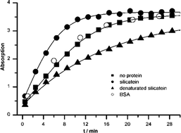 Graphical abstract: Formation of silicones mediated by the sponge enzyme silicatein-α