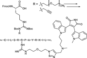 Graphical abstract: Preparation of novel alkylated arginine derivatives suitable for click-cycloaddition chemistry and their incorporation into pseudosubstrate- and bisubstrate-based kinase inhibitors