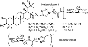 Graphical abstract: Tethered derivatives of d-glucose and pentacyclic triterpenes for homo/heterobivalent inhibition of glycogen phosphorylase