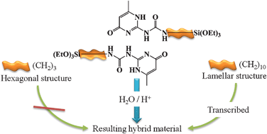 Graphical abstract: Influence of the alkyl linker in the structuring of bridged silsesquioxanes obtained by self-recognition properties