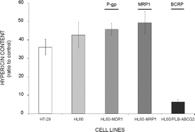 Graphical abstract: Drug efflux transporters, MRP1 and BCRP, affect the outcome of hypericin-mediated photodynamic therapy in HT-29 adenocarcinoma cells