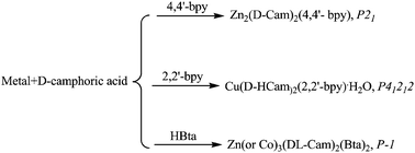 Graphical abstract: Chiral or achiral camphorate-based complexes controlled by the conformational rigidity of N-donor co-ligands