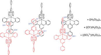 Graphical abstract: Alternative two-dimensional embrace nets formed by metal complexes of 4′-phenylterpyridine crystallised with hydrophilic anions