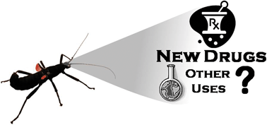 Graphical abstract: Insects and their chemical weaponry: New potential for drug discovery
