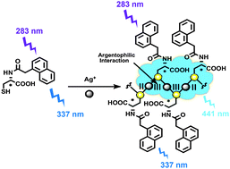 Graphical abstract: A ratiometric luminescent sensing of Ag+ ion via in situ formation of coordination polymers