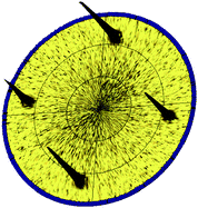 Graphical abstract: Hydrothermal epitaxy of ferromagnetic cobalt doped titanium dioxide films at 120 °C