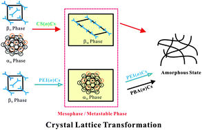 Graphical abstract: Confined crystallization and phase transition in semi-rigid chitosan containing long chain alkyl groups