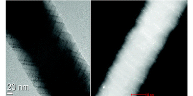 Graphical abstract: Effects of hydrogen on Au migration and the growth kinetics of Si nanowires