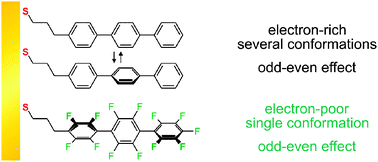 Graphical abstract: Self-assembled monolayers of perfluoroterphenyl-substituted alkanethiols: specific characteristics and odd–even effects