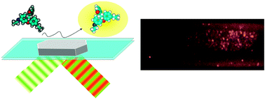 Graphical abstract: Fluorescence micro(spectro)scopy as a tool to study catalytic materials in action