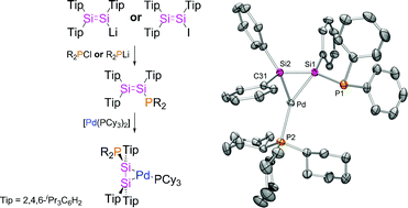 Graphical abstract: Synthesis, characterisation and complexation of phosphino disilenes