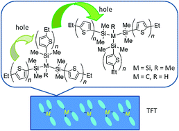 Graphical abstract: Effects of the silicon core structures on the hole mobility of star-shaped oligothiophenes