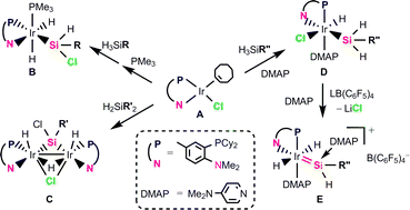 Graphical abstract: Synthesis of η2-cyclooctene iridium and rhodium complexes supported by a novel P,N-chelate ligand and their reactivity toward hydrosilanes: facile Cl migration from metal to silicon via silylene complex intermediates and formation of a base-stabilised silylene complex