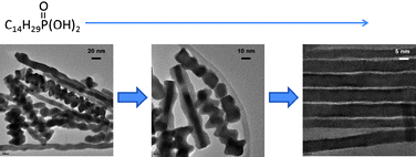 Graphical abstract: Synthesis of PbSe nanowires: the impact of alkylphosphonic acid addition