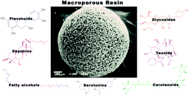 Graphical abstract: Development of adsorptive (non-ionic) macroporous resins and their uses in the purification of pharmacologically-active natural products from plant sources
