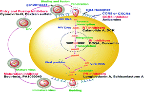 Graphical abstract: Recent advances in anti-HIV natural products
