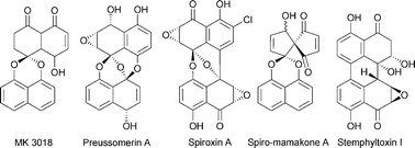 Graphical abstract: Structure, bioactivities, biosynthetic relationships and chemical synthesis of the spirodioxynaphthalenes