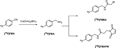 Graphical abstract: Synthesis and application of 4-[18F]fluorobenzylamine: A versatile building block for the preparation of PET radiotracers