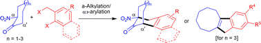 Graphical abstract: Synthesis of benzo- and naphtho-fused bicyclo[n.3.1]alkane frameworks with a bridgehead nitrogen function by palladium-catalyzed intramolecular α′-arylation of α-nitroketones