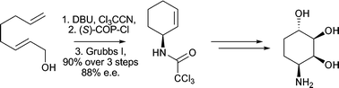Graphical abstract: Stereoselective synthesis of polyhydroxylated aminocyclohexanes