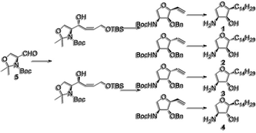 Graphical abstract: Asymmetric synthesis of Pachastrissamine (Jaspine B) and its diastereomers viaη3-allylpalladium intermediates