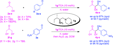 Graphical abstract: Asymmetric syn-selective direct aldol reaction of protected hydroxyacetone catalyzed by primary amino acid derived bifunctional organocatalyst in the presence of water